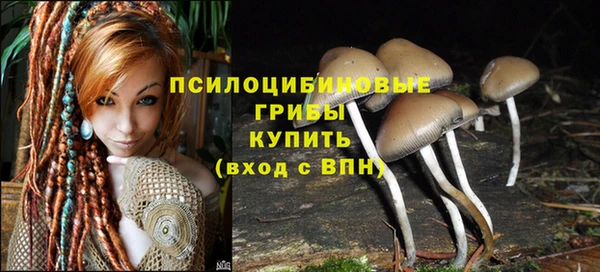 2c-b Абдулино