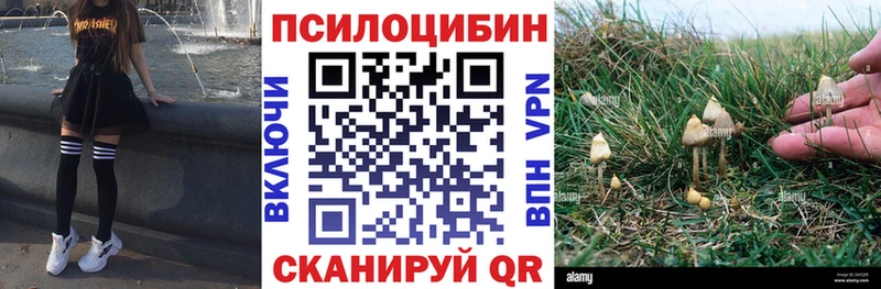 где найти наркотики  Химки  Галлюциногенные грибы Magic Shrooms 